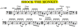 Capture Shock the monkey