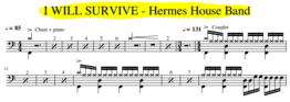 Capture I will survive - Hermes House Band