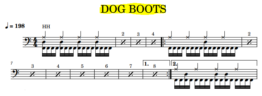 Capture Dog Boots