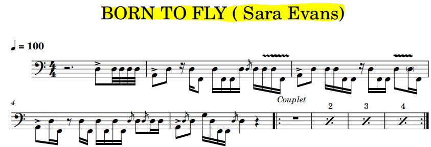 Capture Born to Fly ( Sara Evans)