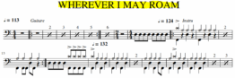 WHEREVER I MAY ROAM - Metallica